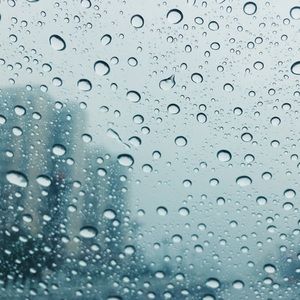 Meet your Posher, Kallie